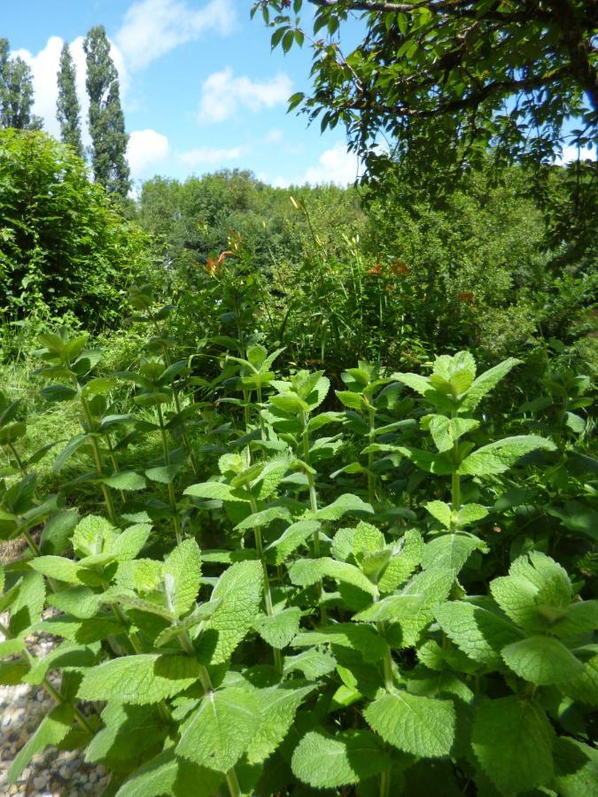 Le Moulin De Cors Bed & Breakfast Oulches Екстериор снимка